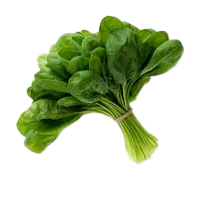 76fa0607-4565-4806-87a9-93a40f5810b2