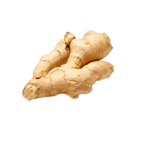 6d6669c7-b7c4-46dd-8cb7-68f84e1d01e2